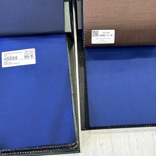 bluefabrics-delfino-carlobarbera-20250901.jpg